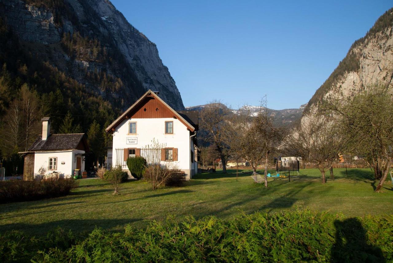 Apartments Marie B Hallstatt Buitenkant foto